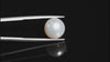 Natural South Sea Pearl 7.59 Carats