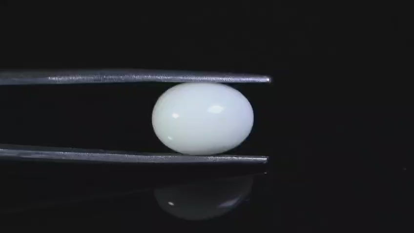 Natural Australian White Coral 6.43 Carats