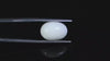Natural Australian White Coral 6.43 Carats