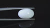 Natural Australian  White Coral 6.02 Carats