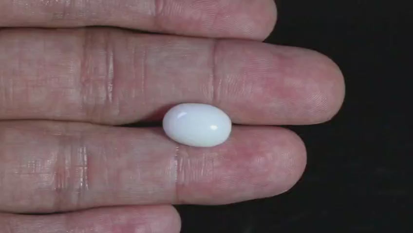 Natural Australian  White Coral 6.02 Carats