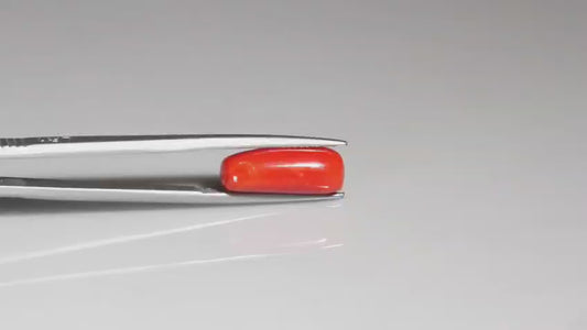 Natural Red Coral (Italian Moonga ) 8.07 carats