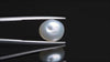 Natural Venezuela Pearl 7.00 Carats